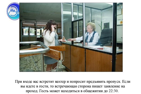 Kraken рабочее зеркало onion