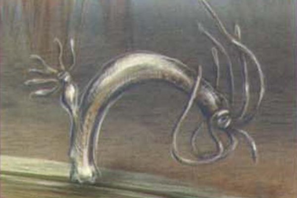 Kra27.cc