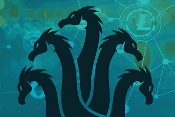 Kraken 14 at
