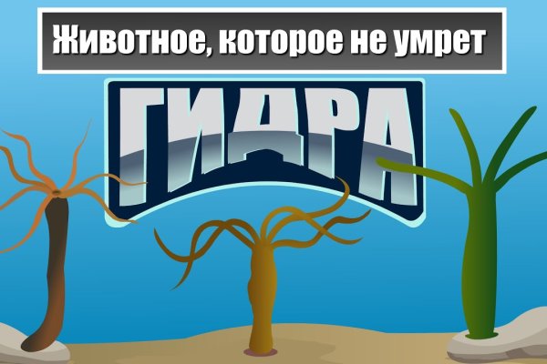 Украли аккаунт на кракене