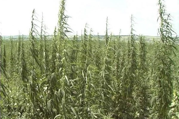 Можно ли вывести деньги с кракена
