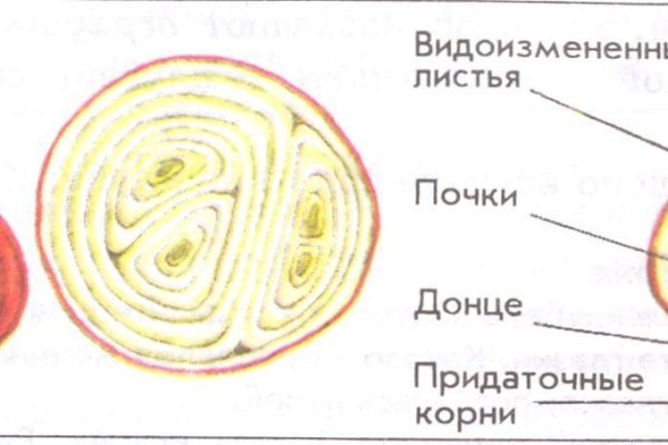 Ссылка кракен не работает
